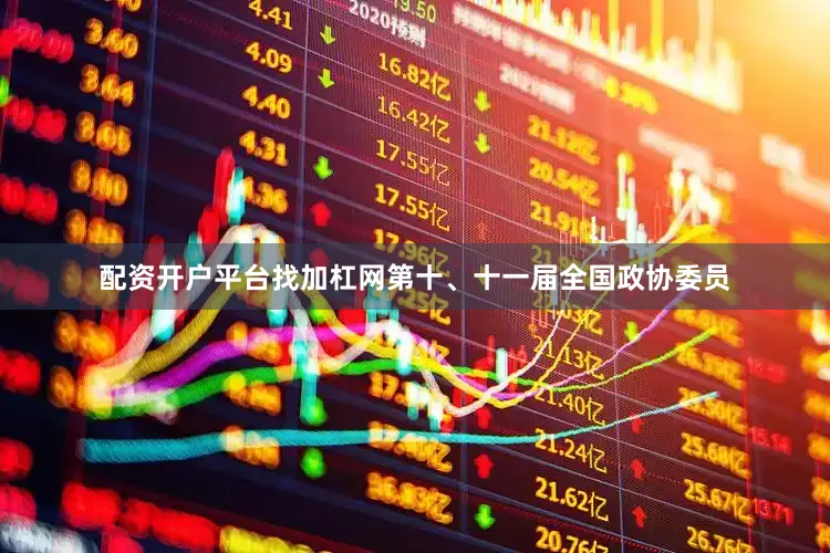 配资开户平台找加杠网第十、十一届全国政协委员