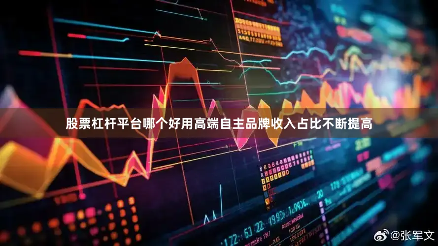 股票杠杆平台哪个好用高端自主品牌收入占比不断提高