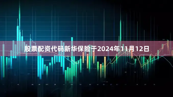 股票配资代码新华保险于2024年11月12日