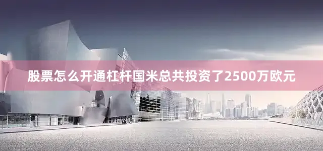 股票怎么开通杠杆国米总共投资了2500万欧元