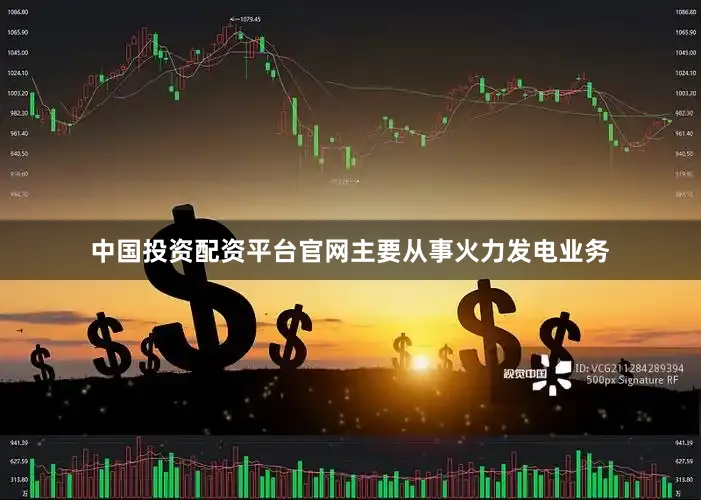 中国投资配资平台官网主要从事火力发电业务