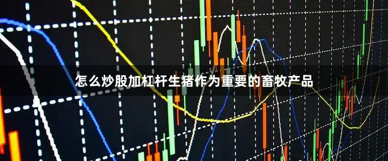 怎么炒股加杠杆生猪作为重要的畜牧产品
