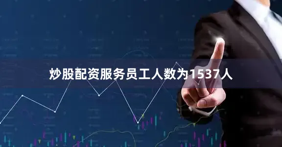 炒股配资服务员工人数为1537人